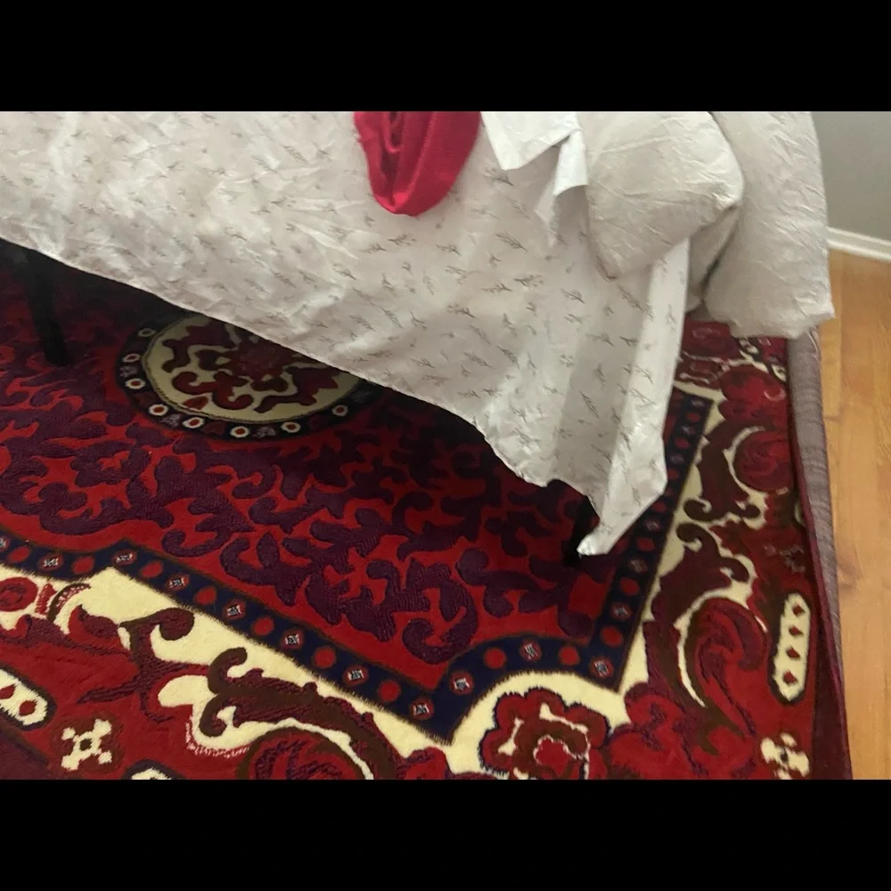Red Rug - Picture 2 of 5